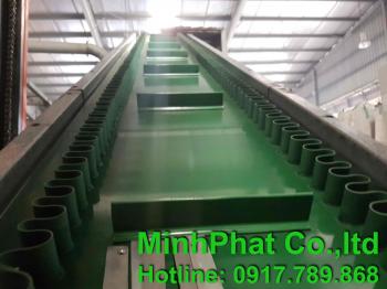 Băng tải gân ngang có bèo