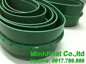 Băng tải gân dẫn hướng